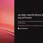 শ্রম আইন পরামর্শক অভিজ্ঞতা